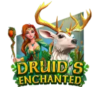 DRUID'S Enchanted — game at Mancity1894