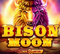 BISON MOON — game at Mancity1894